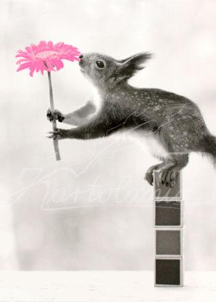 Eichhörnchen mit Blume