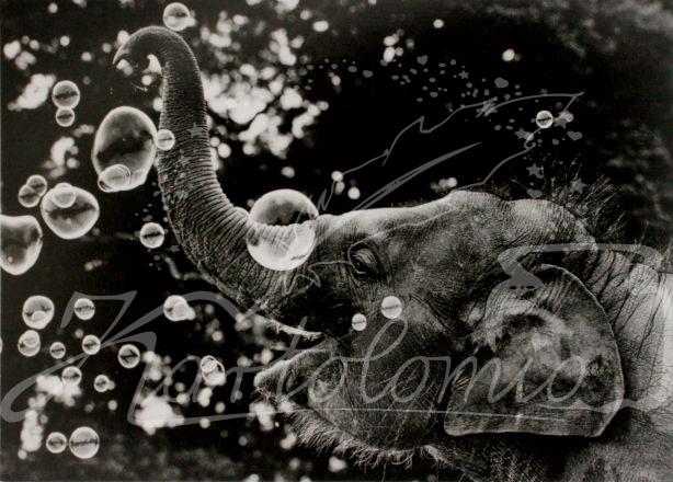 Der Elefant und die Seifenblasen