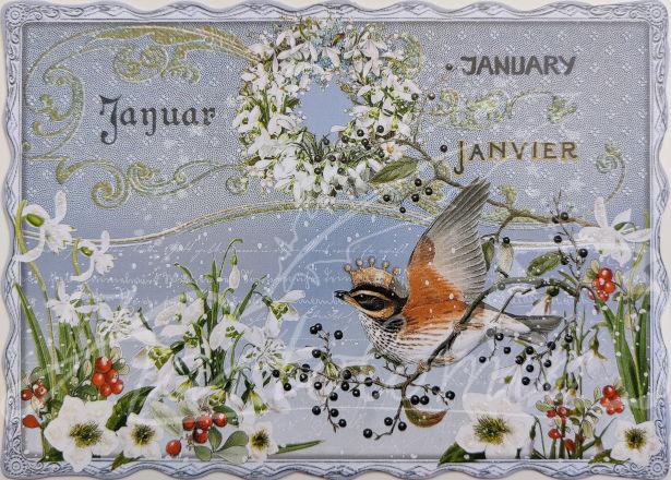 Januar Monatskarte