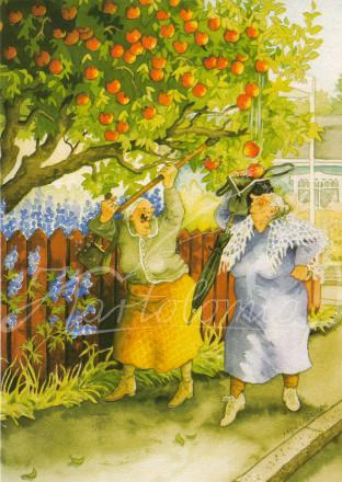 Zwei Frauen beim Apfelpflücken