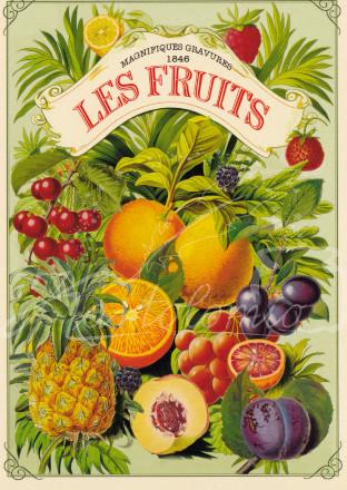 Les Fruits