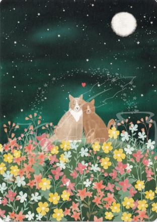 Cats in love