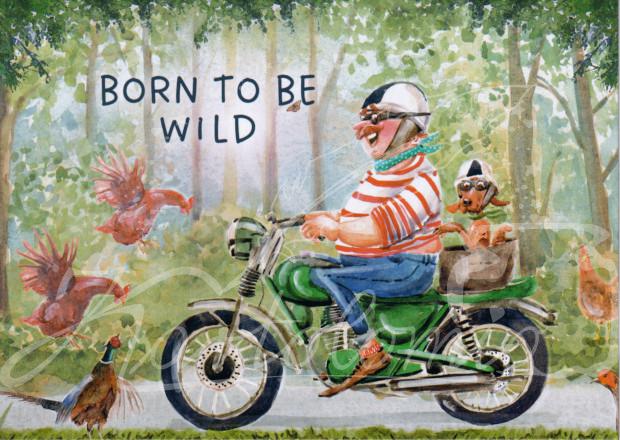 Born to be wild